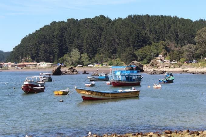 Botes de pescadores de colores en la bahía de Caleta Lenga