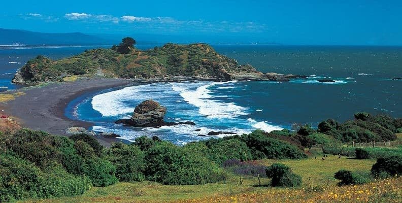 Costa rocosa con olas y vegetación donde el río Biobío llega al mar